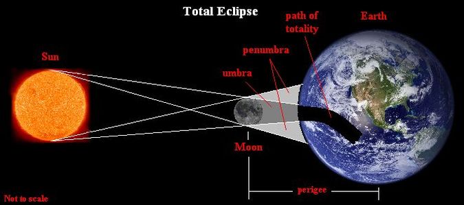 The Natural Wonder Of Lunar Eclipses: Frequency And Fascination