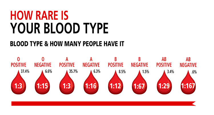 Maximizing Your Health And Impact: How Often Can You Donate Blood?