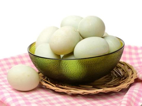 Cracking The Code: Understanding How Often Ducks Lay Eggs