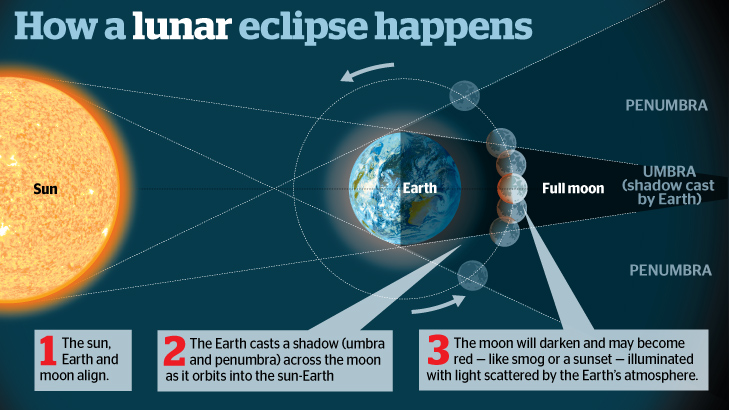 How Often Do Lunar Eclipses Occur? A Guide To Understanding The Cycle.
