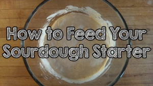 Unlock The Secret: How Often Do You Really Need To Feed Your Sourdough Starter?