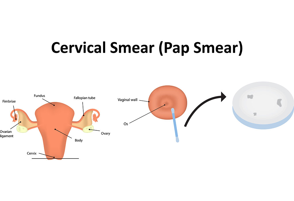 Uncovering The Truth: How Often Do You Really Need A Pap Smear?