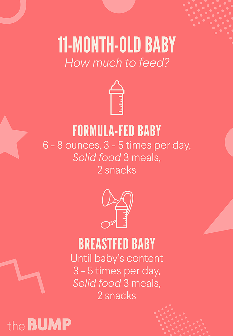 7-Month-Old Feeding Guide: How Often Should You Introduce Solid Foods?