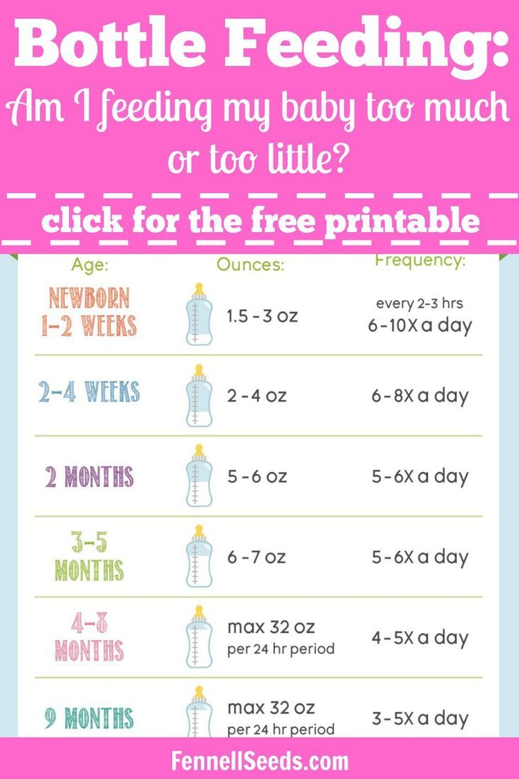 Newborn Formula Feeding Guide: How Often Should Your Baby Eat?