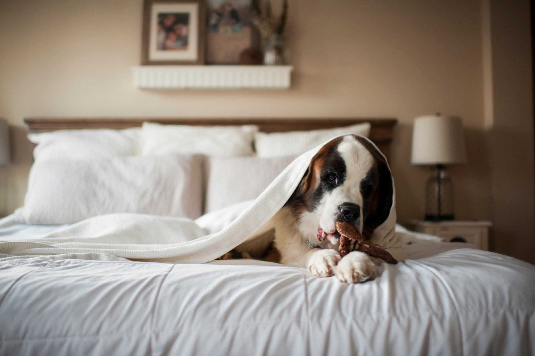 The Golden Rule Of Bedding: How Often Should You Change Your Sheets For Maximum Comfort?