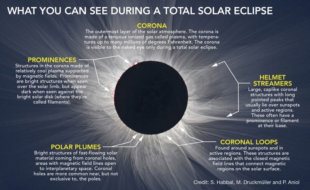 Discover The Frequency Of Solar Eclipses - SEO Tips For Higher Visibility