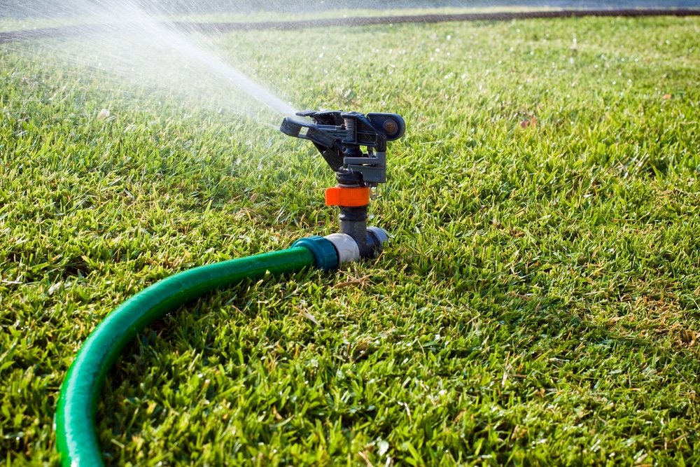 The Key To A Successful Lawn: Understanding How Often To Water Grass Seed