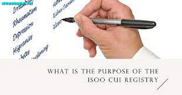 the Purpose And Impact Of The Iso Cui Registry: Enhancing Data Protection And Governance