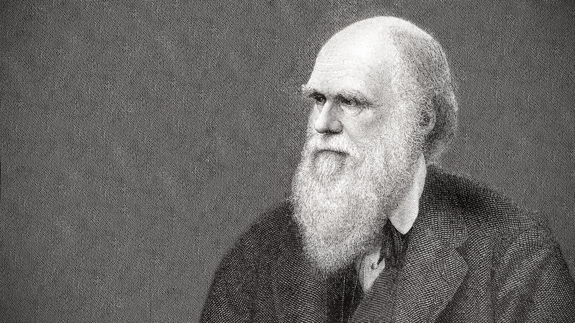 Discovering The Man Behind The Theory: Unraveling Who Is Charles Darwin