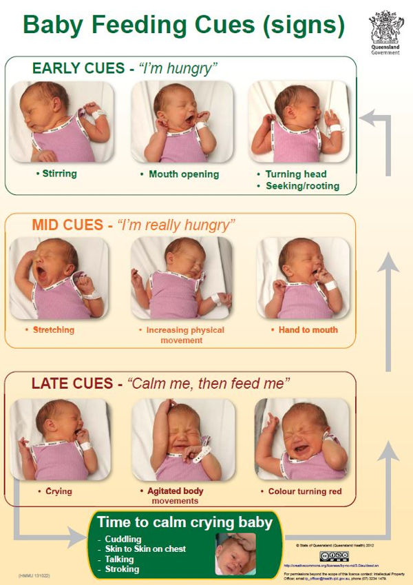 Newborn Feeding Frequency: How Often Should You Feed Your Baby?