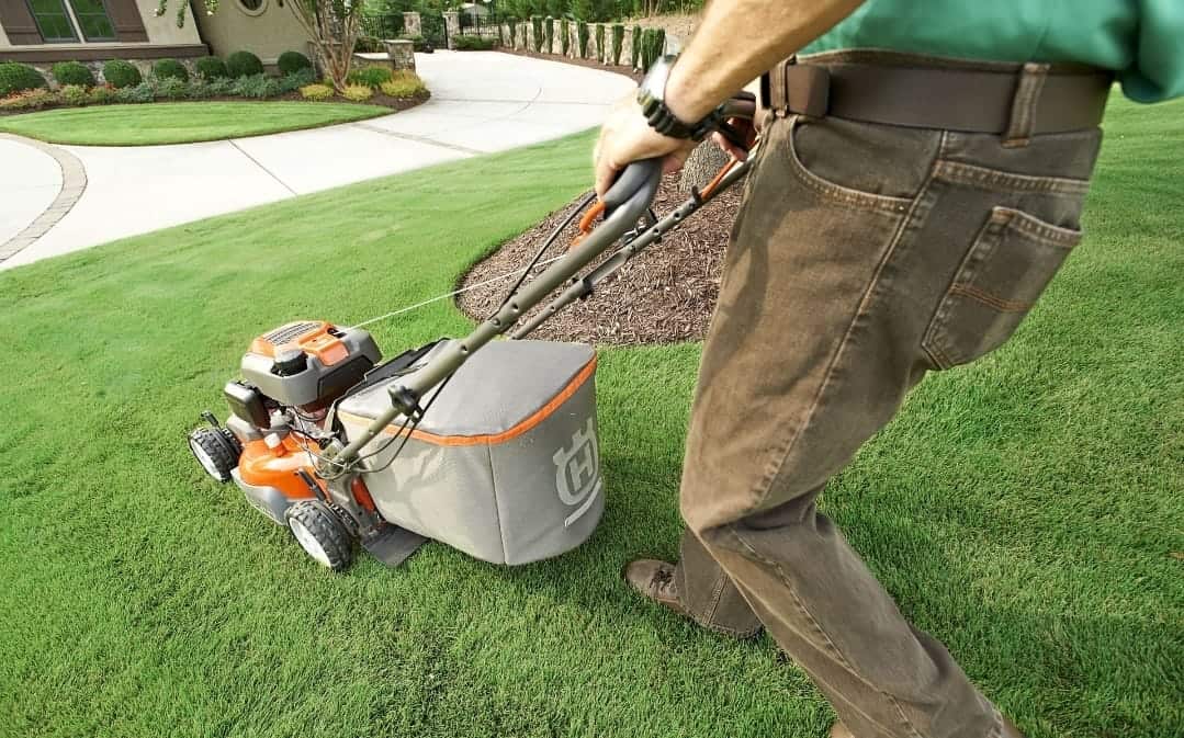 Maintaining A Beautiful Lawn: How Often Should You Mow?