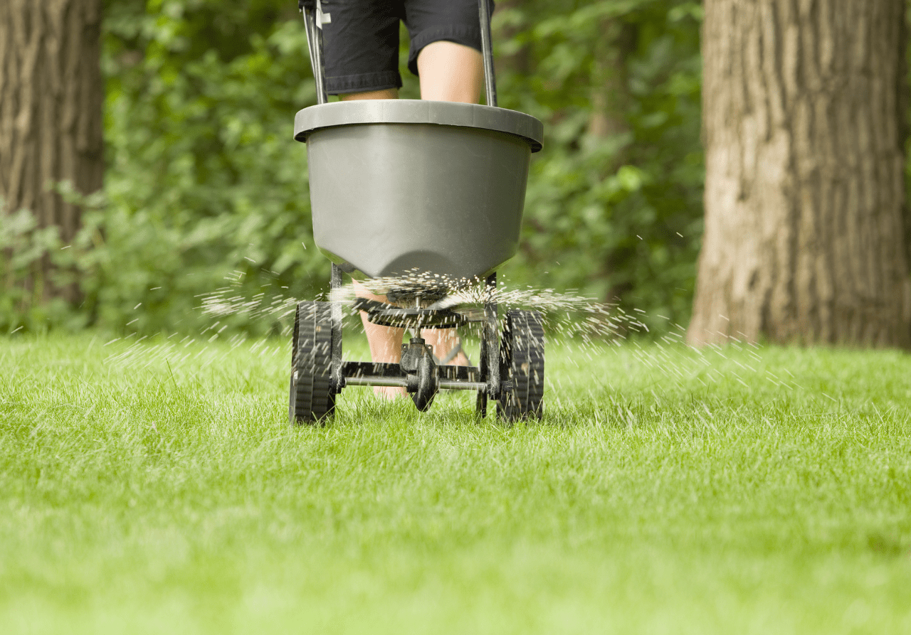 The Ultimate Key To A Healthy Lawn: Fertilizing Frequency And How It Can Transform Your Yard