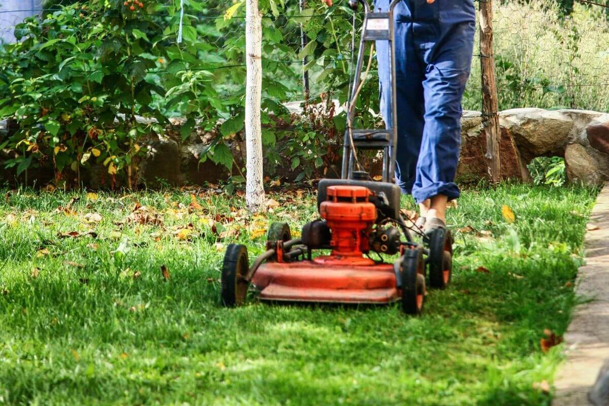 Optimal Lawn Maintenance: How Often To Mow Your Grass For A Lush And Healthy Yard