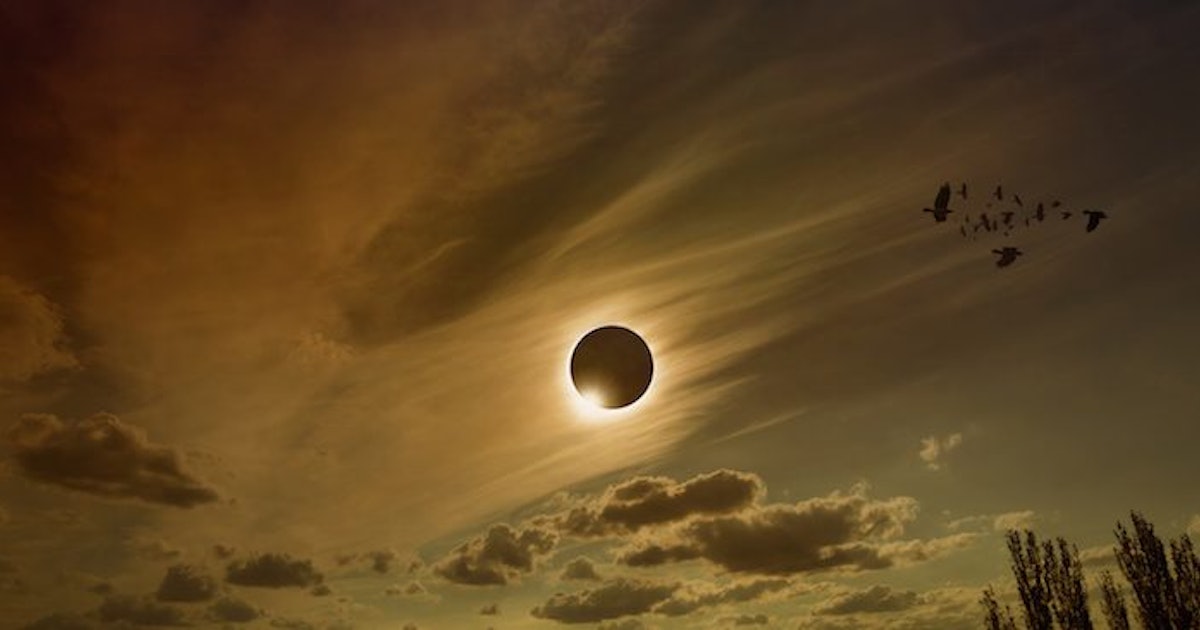 Viewing A Solar Eclipse 101: Everything You Need To Know To Witness This Spectacular Event
