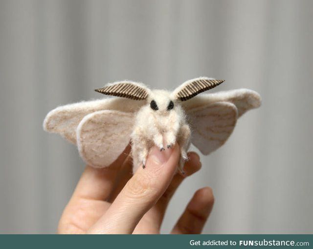 Poodle Moth On The Masked Singer: A Mysterious Creature Takes The Stage