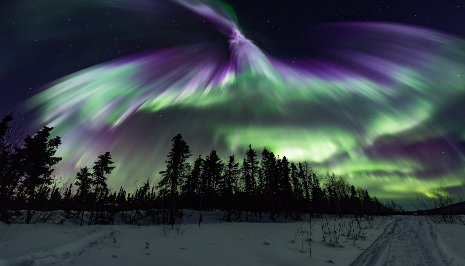Maximizing Your Chances: How Often Are The Northern Lights Visible?