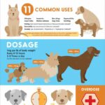 The Ultimate Guide To Administering Benadryl To Your Canine Companion
