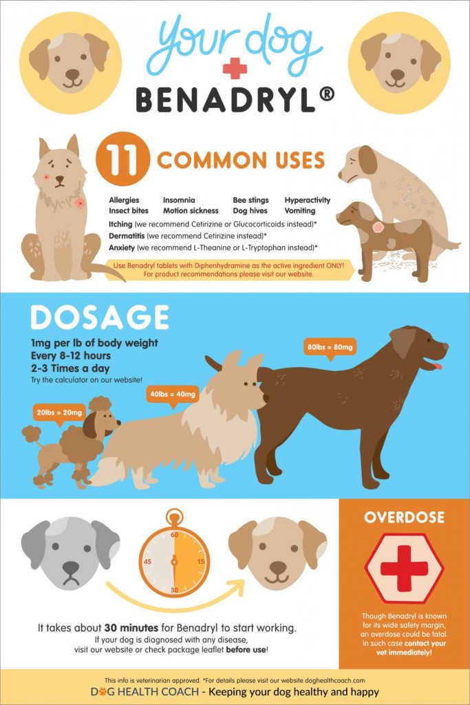 The Ultimate Guide To Administering Benadryl To Your Canine Companion