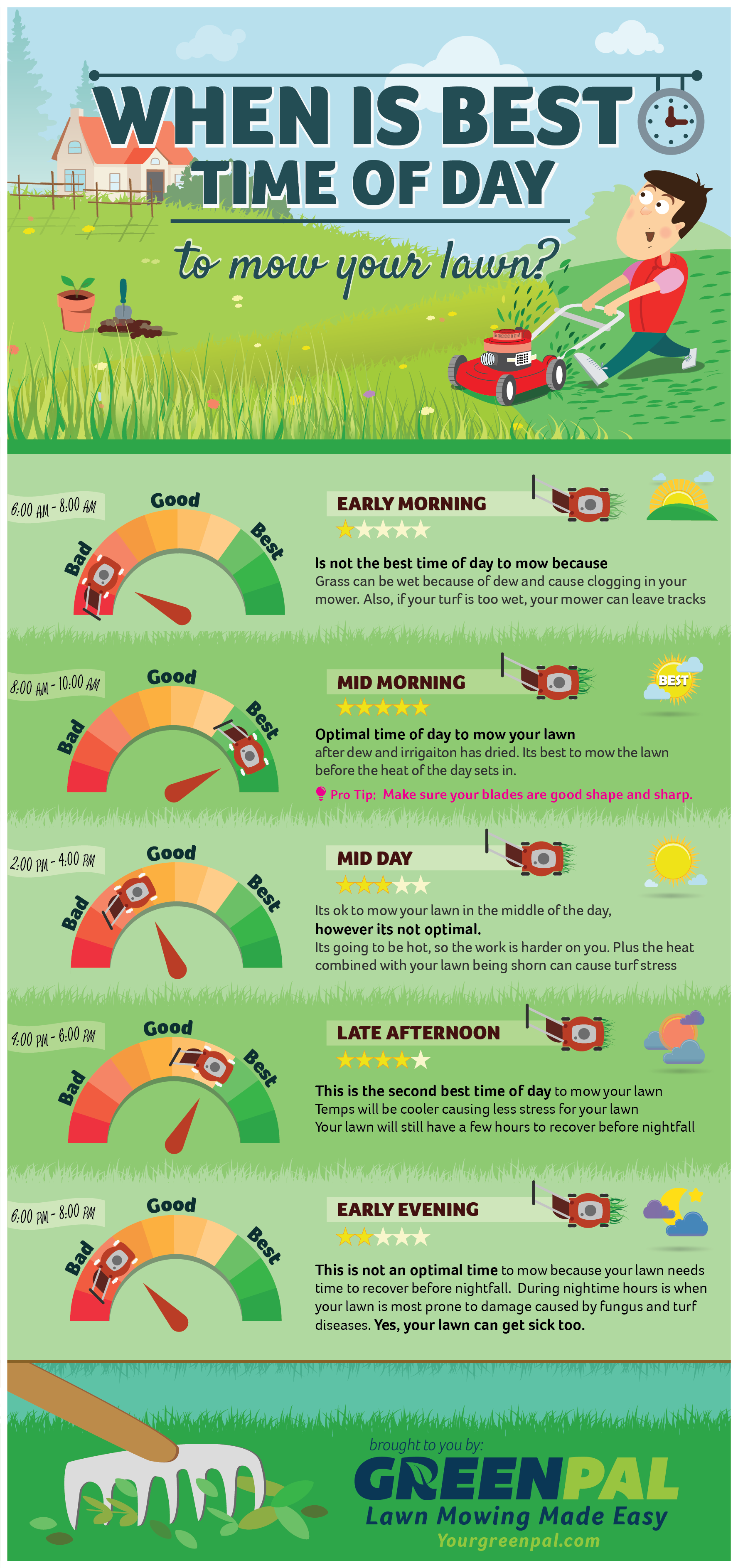 Discover The Optimal Frequency For Cutting Grass: How Often Should You Mow Your Lawn?