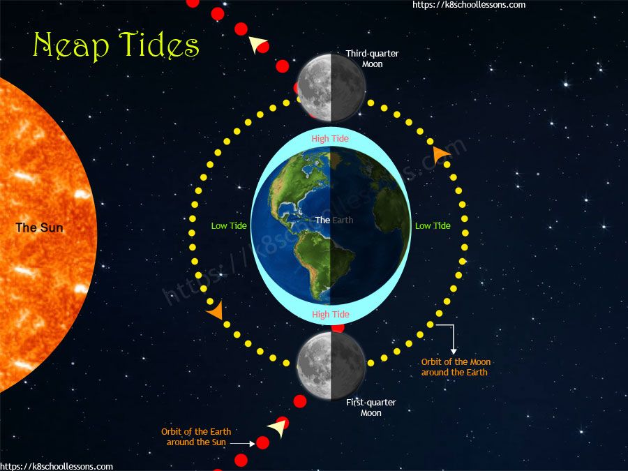 How Often Do Neap Tides Occur? Understanding The Cycle Of Neap Tides