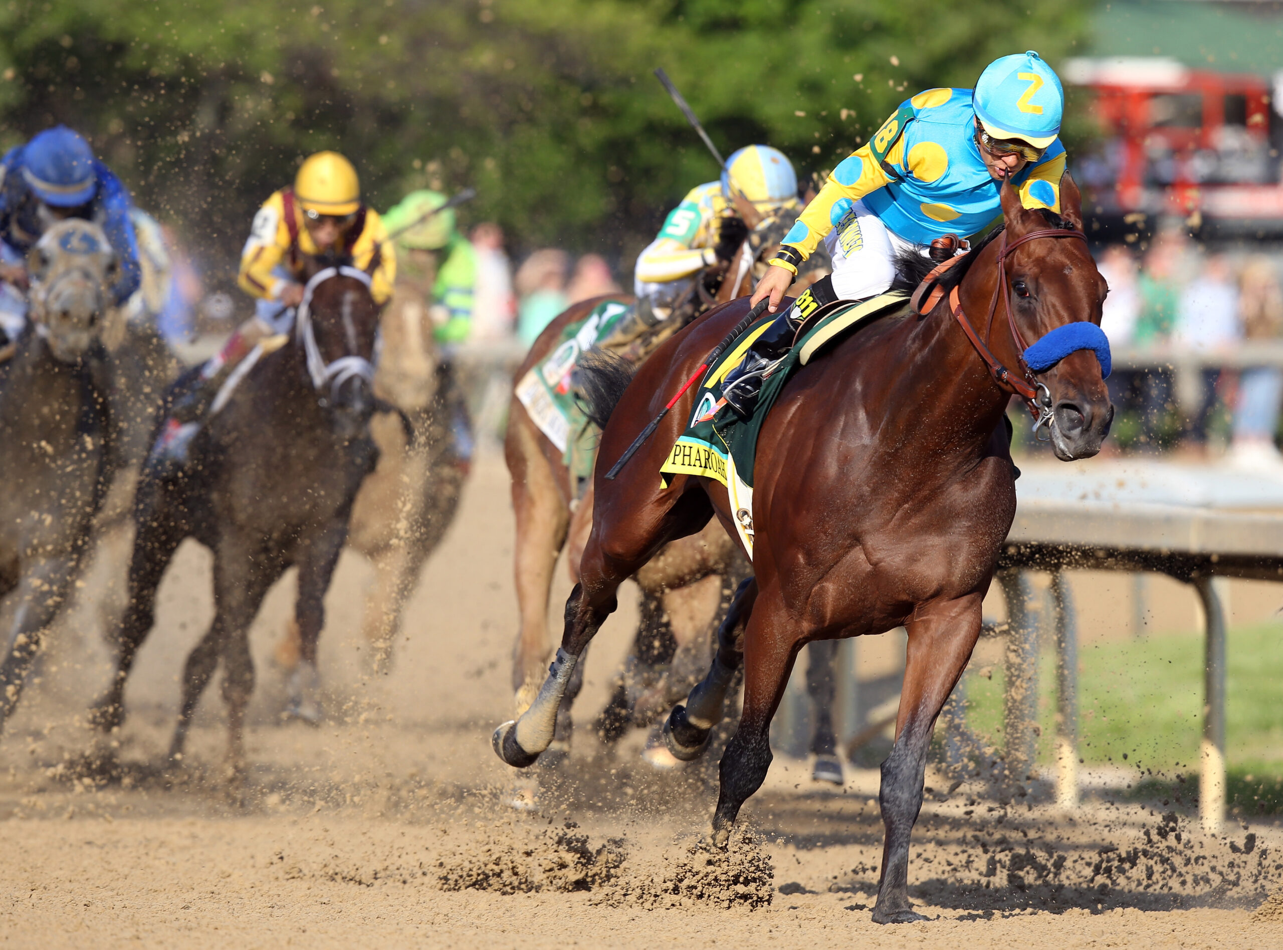 Cracking The Code: Analyzing The Frequency Of Kentucky Derby Favorites' Victories