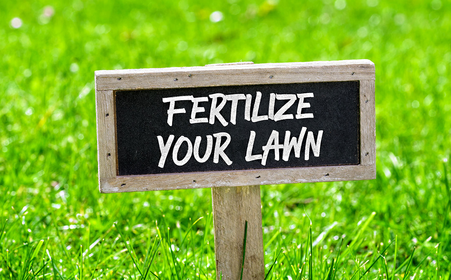 Cracking The Code: Deciphering How Often To Fertilize Your Lawn For Optimal Results