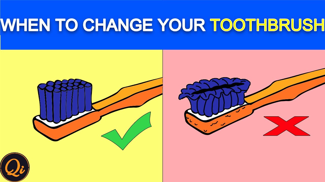 Maximizing Dental Hygiene: The Importance Of Changing Your Toothbrush Regularly