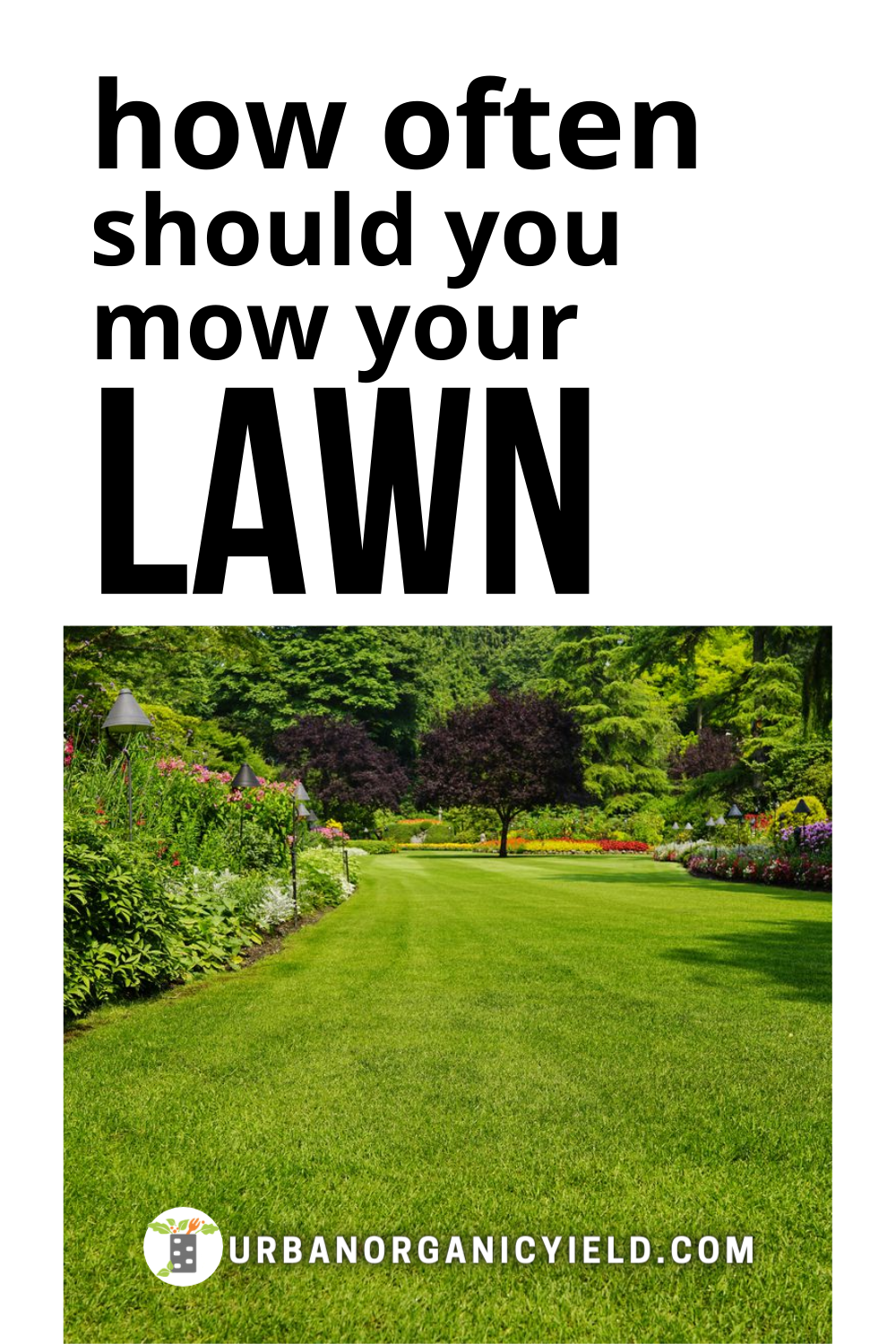 Expert Tips: How Often Should You Mow Your Lawn For A Healthy And Beautiful Yard?