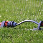 Maintaining A Healthy Lawn: Understanding The Optimal Watering Schedule For Grass Seed