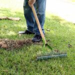 Maximizing Lawn Health: How Often Should You Dethatch Your Lawn?