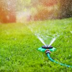 Maximizing Growth: The Role Of Consistent Watering In Nurturing Grass Seed