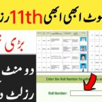 Easy Guide To Check 11th Result 2024: Step-by-Step Instructions