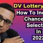 Winning The DV Lottery 2025: How To Check Results And Secure Your Green Card