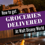 Conveniently Stock Your Pantry: How To Get Groceries Delivered To Your Doorstep