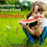 The Ultimate Guide To Selecting The Sweetest Watermelon: Tips For Beginner Fruit Pickers