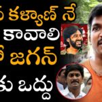 Find Out Who Is Next In Line For AP's CM Position - A Complete Guide