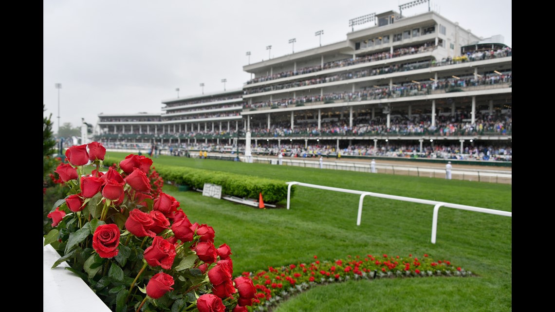 3 Get Ready For The Kentucky Derby: A Look At The Front-Running Horses