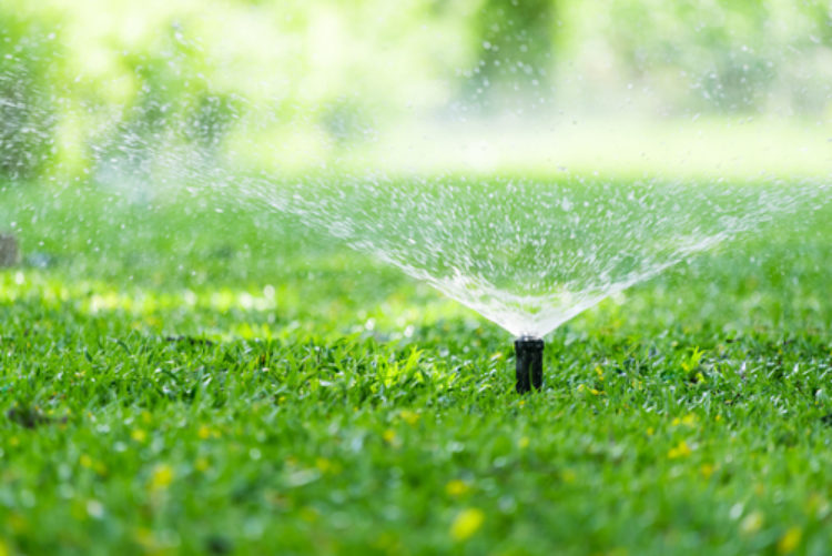The Ultimate Guide: How Often Should I Water My Lawn For A Beautiful And Healthy Yard?