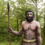Unraveling The Evolutionary Puzzle Of Magnon: Early Human Ancestors Revealed