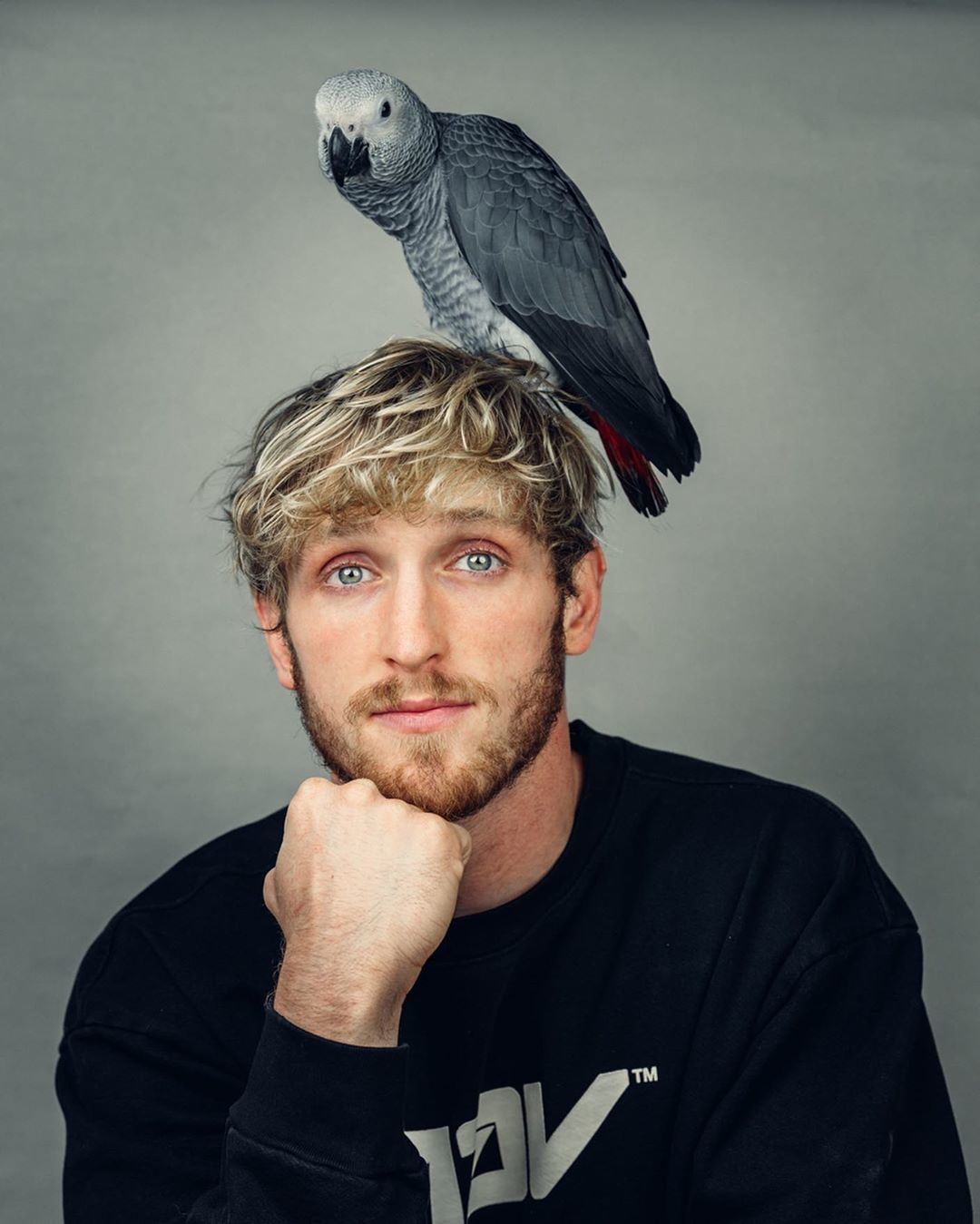 From Maverick To Controversy: The Truth Behind Who Is Logan Paul Revealed